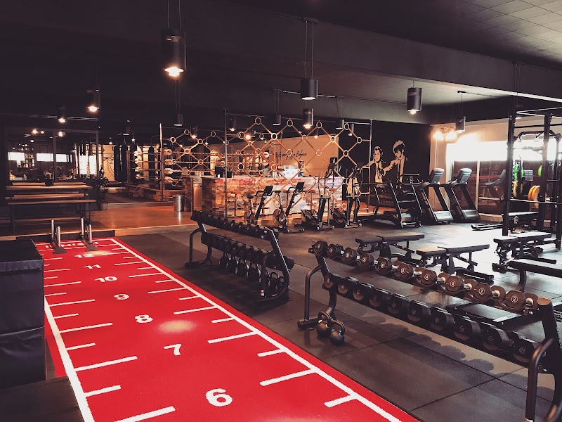 Brooklyn Gym Schulen — eGym Smart Strength in Herk-de-Stad