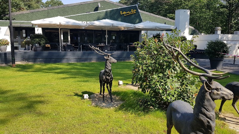 Sport & Health Club De Schaapskooi — Milon Cirkeltraining in Venlo