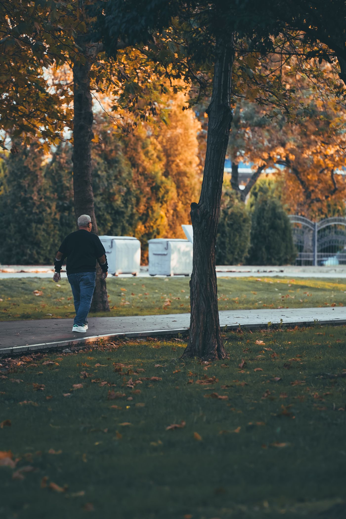 Oudere man die rustig door een park wandelt